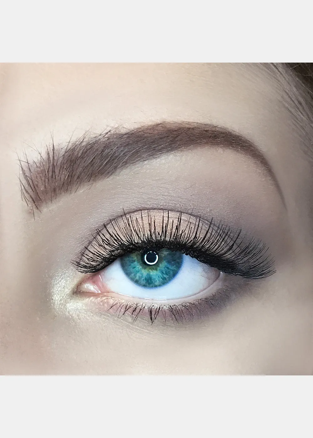 AOA Studio Eyelashes - Rose
