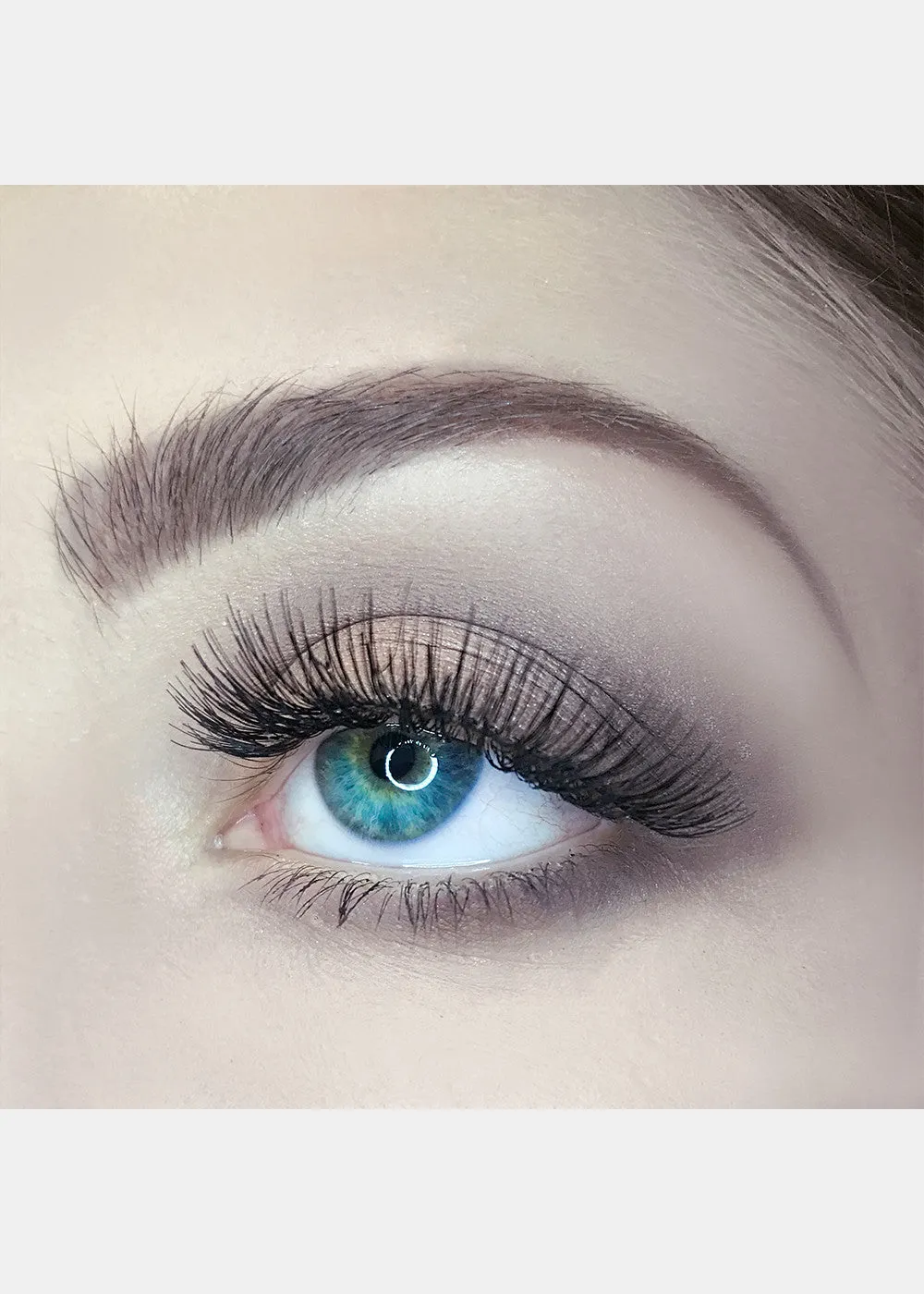AOA Studio Eyelashes - Rose