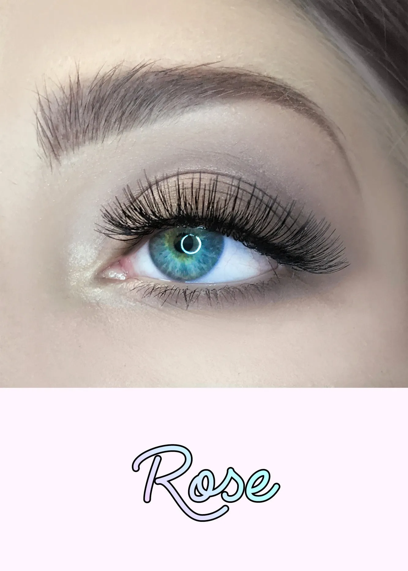 AOA Studio Eyelashes - Rose