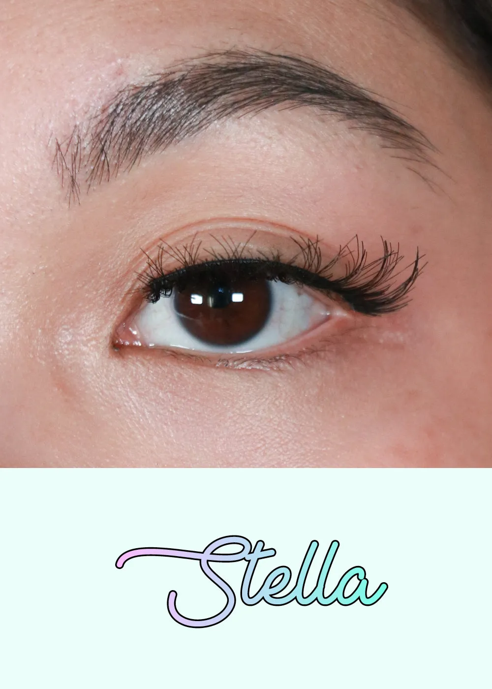 AOA Studio Eyelashes - Stella