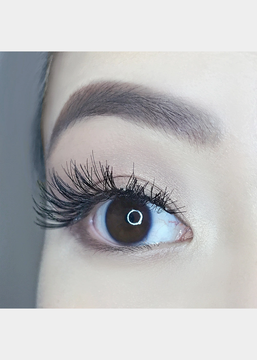 AOA Studio Eyelashes - Alexis