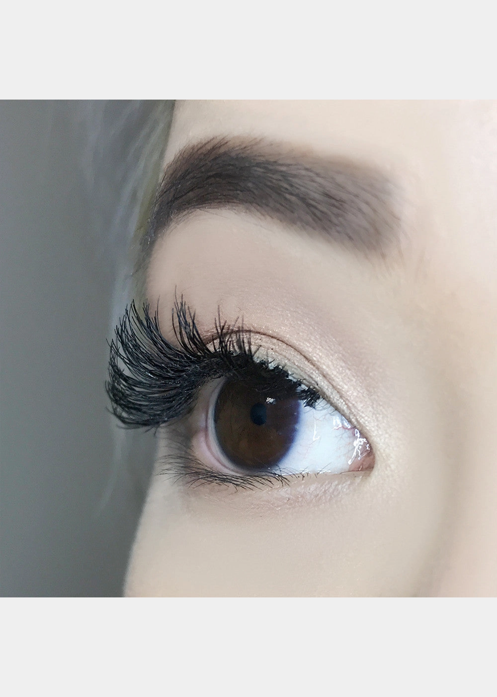 AOA Studio Eyelashes - Scarlette