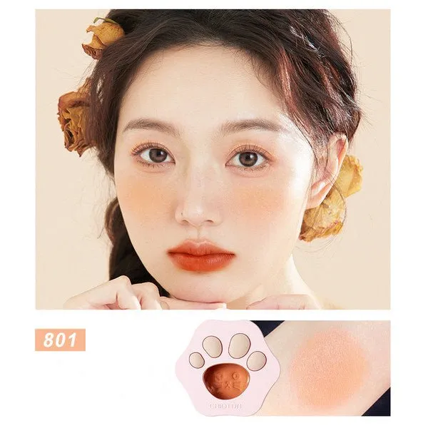 CHIOTURE Monochrome Matte Shine Blusher