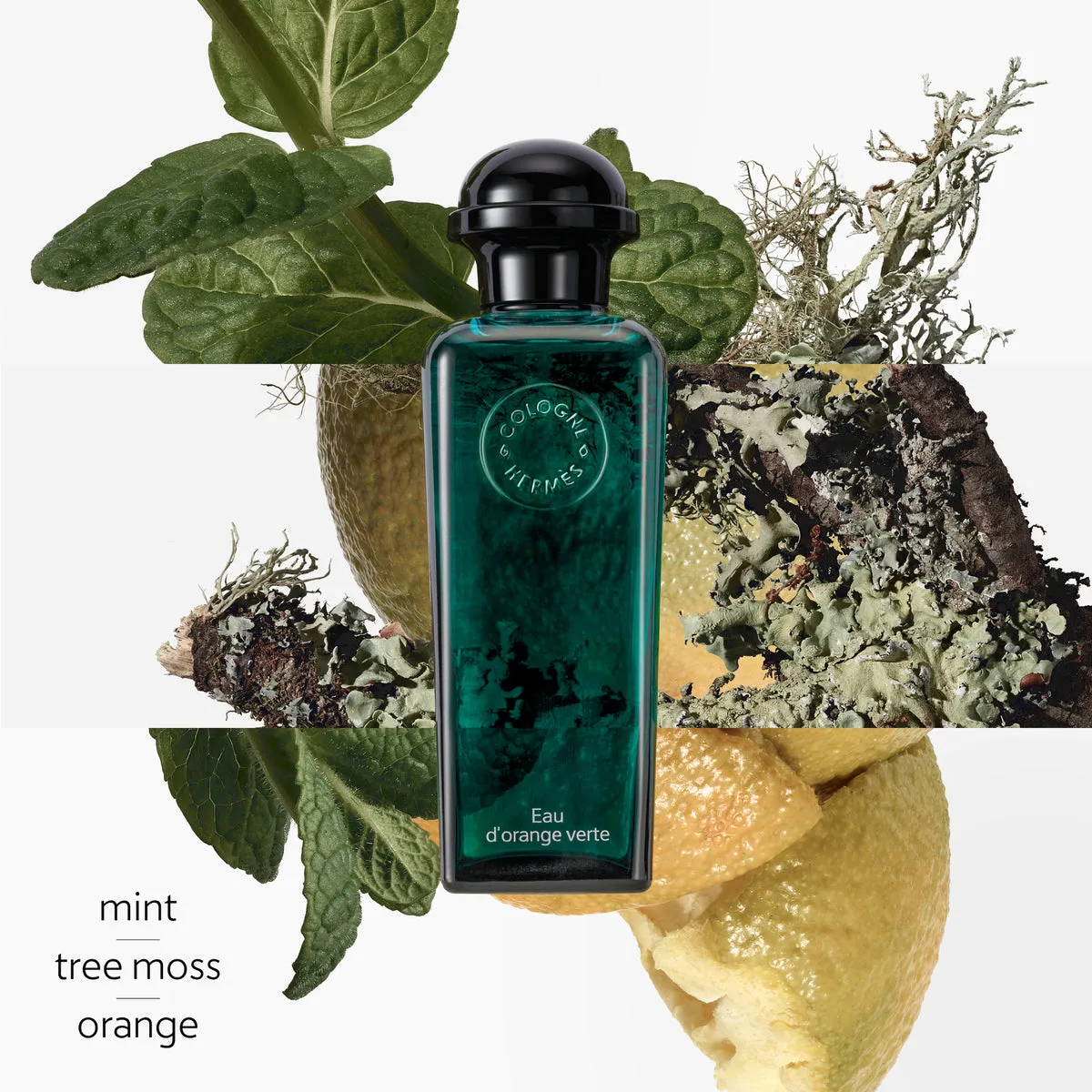 Concentr d'orange verte, Eau de toilette