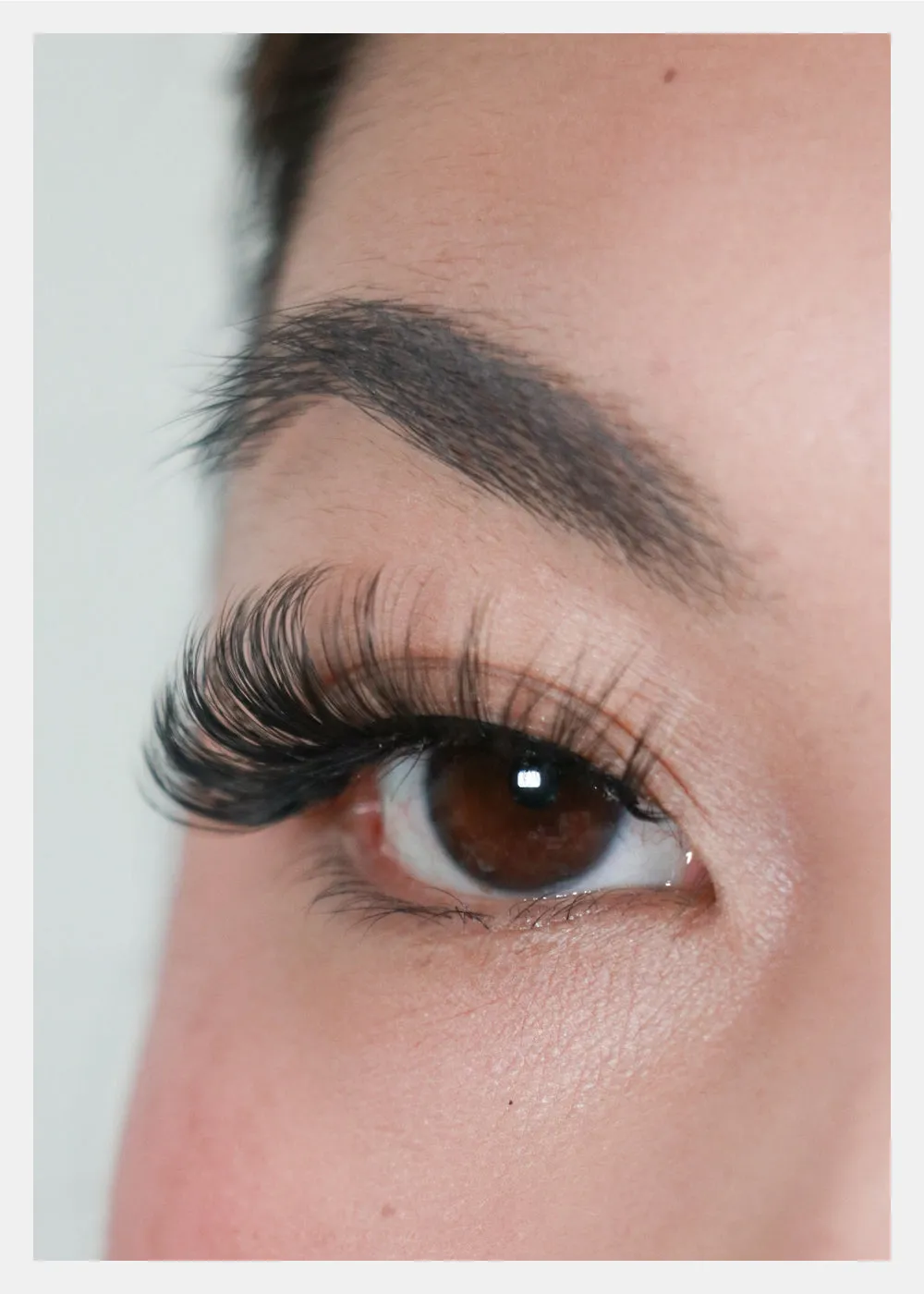 D-LUX Curl Premium Faux Mink Lashes - Bette