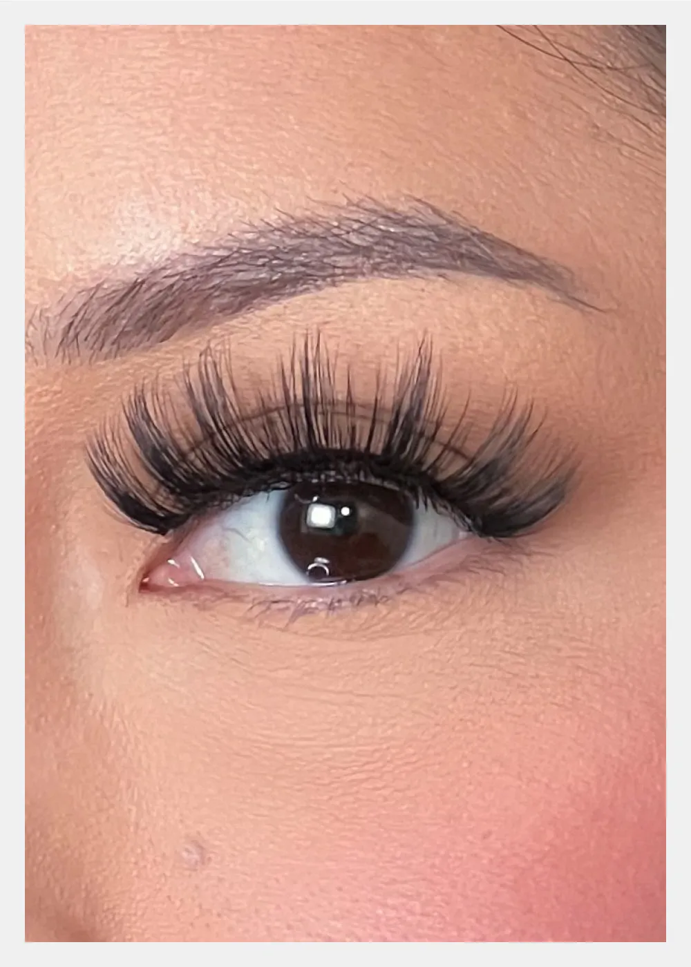 D-LUX Curl Premium Faux Mink Lashes - Dolores