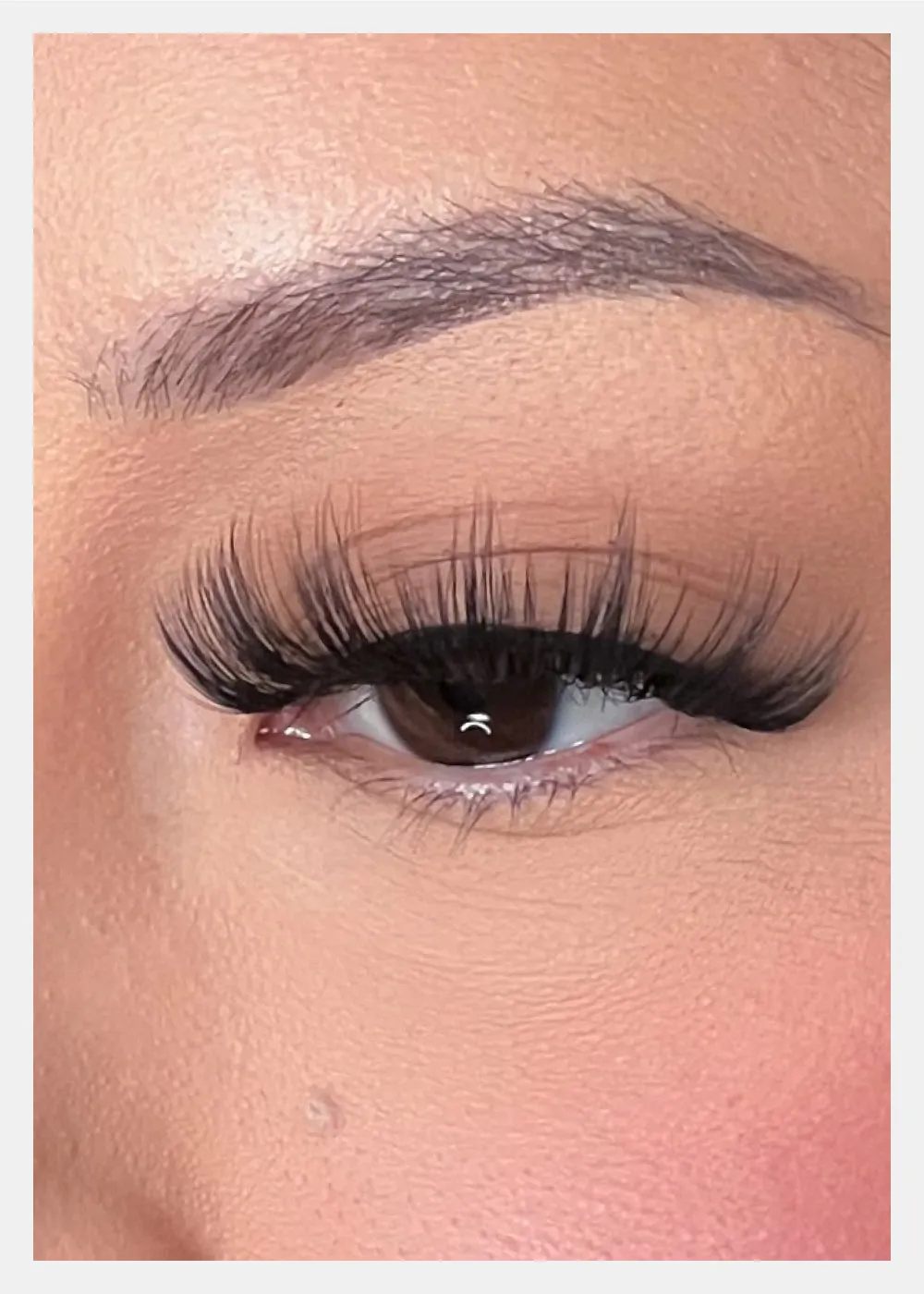 D-LUX Curl Premium Faux Mink Lashes - Dolores
