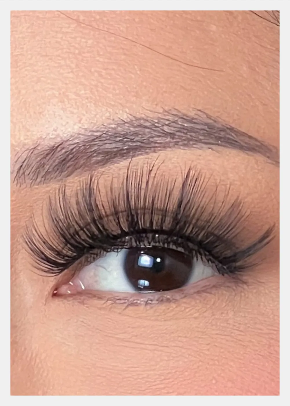 D-LUX Curl Premium Faux Mink Lashes - Lana