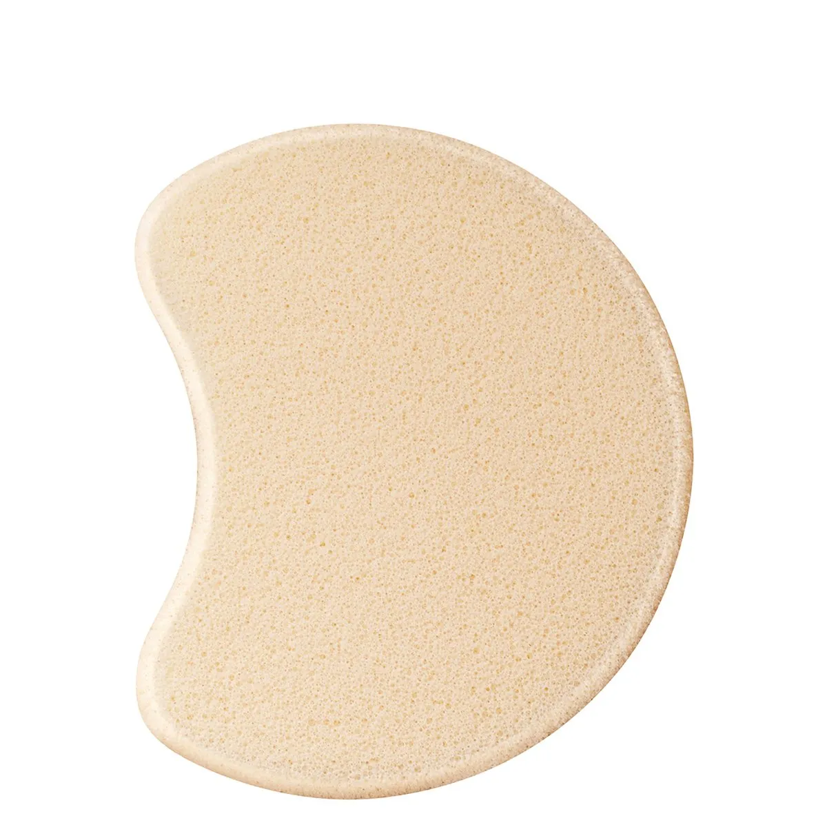 Foundation Sponge