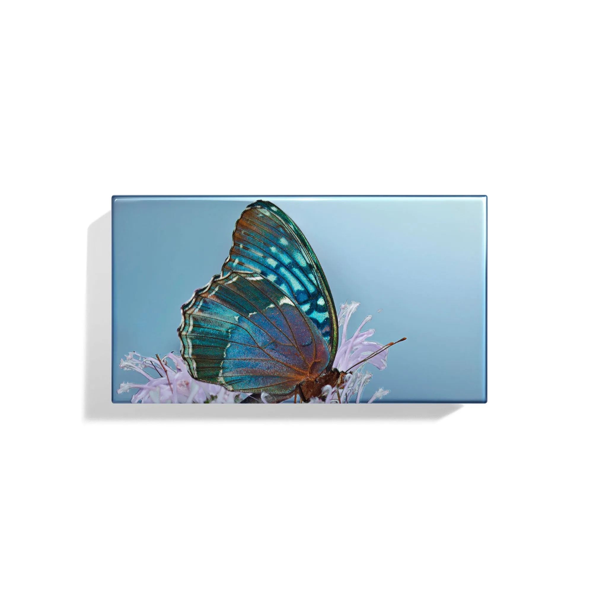 Les Papillons Diana Eye Trio
