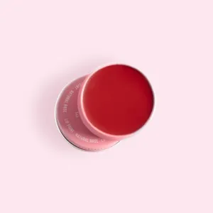 Lip Paint - Cherry Shade 20