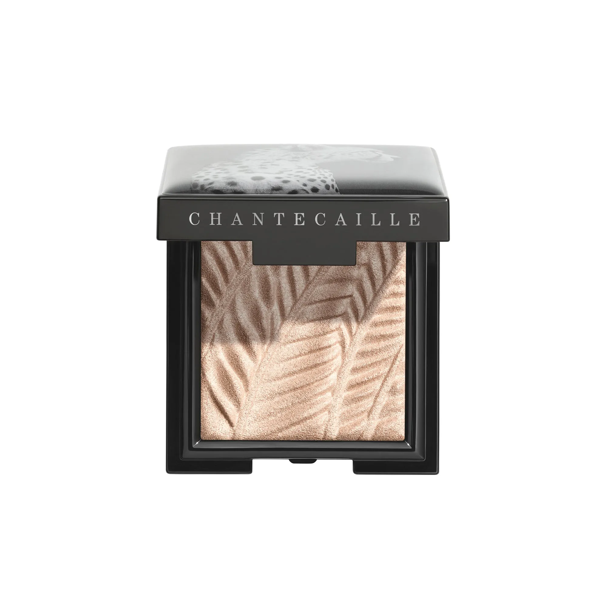 Luminescent Eye Shades