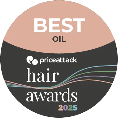Moroccanoil Original Treatment 100ml