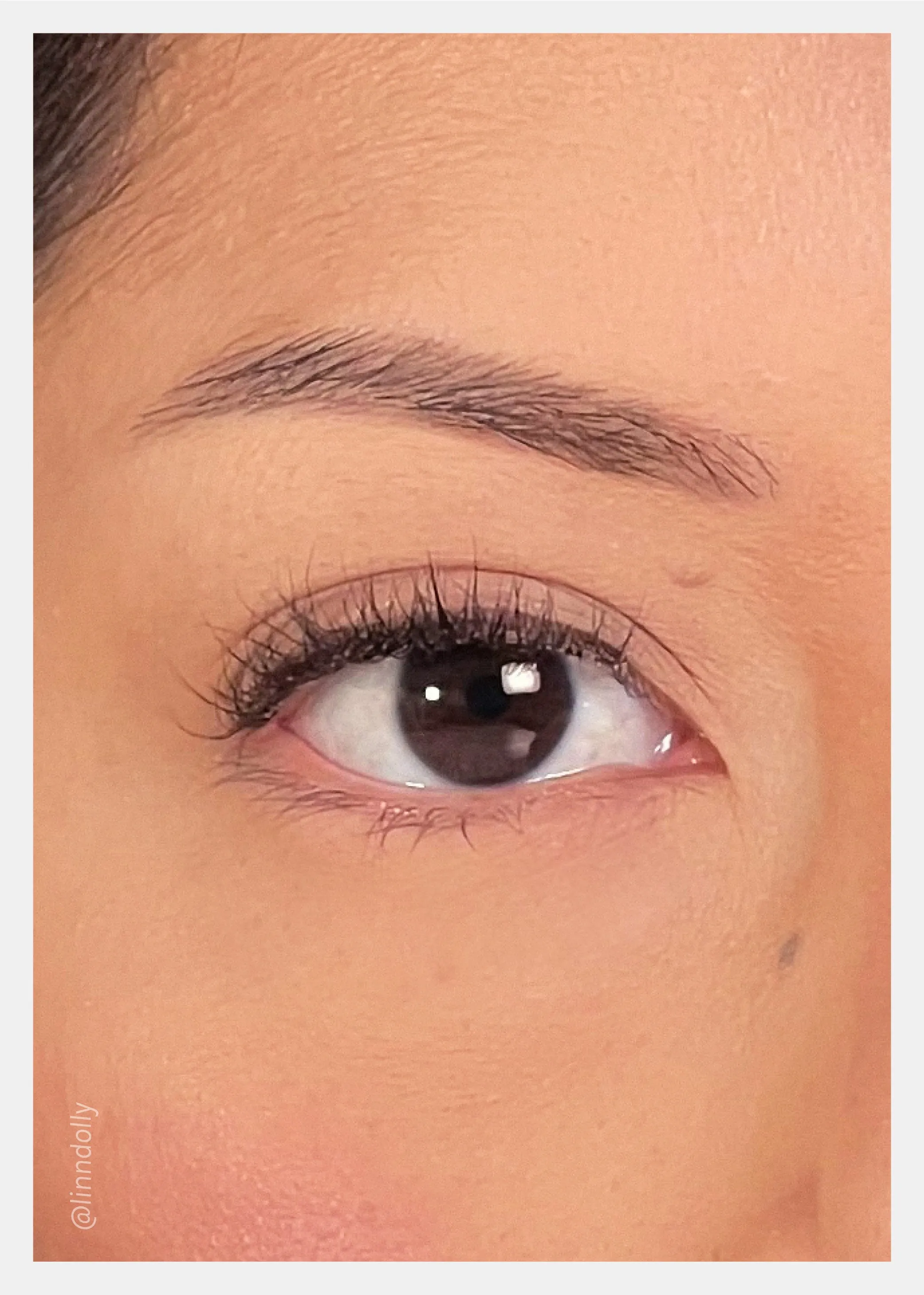 Nearly Naked Lashes C Elegant