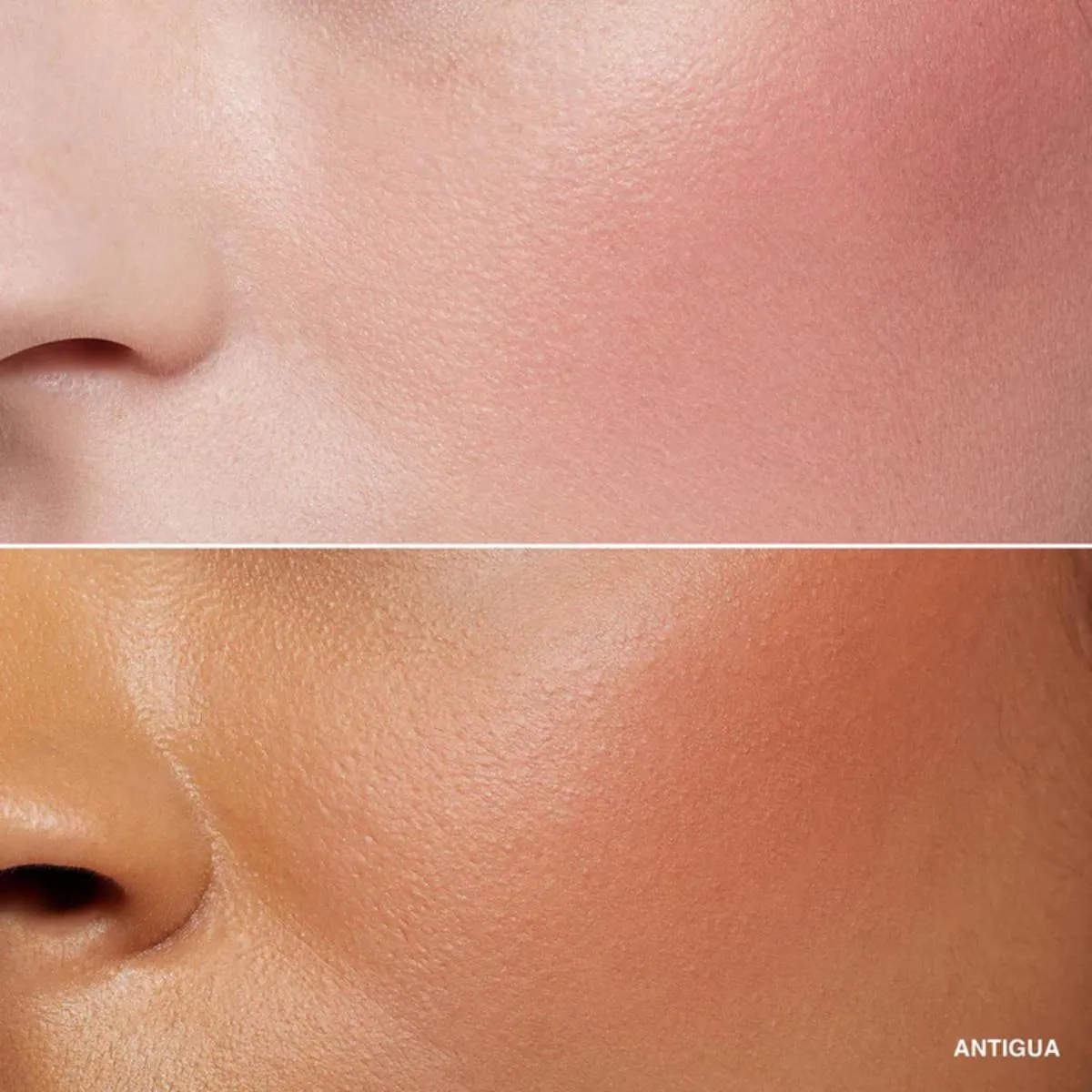 Powder Blush