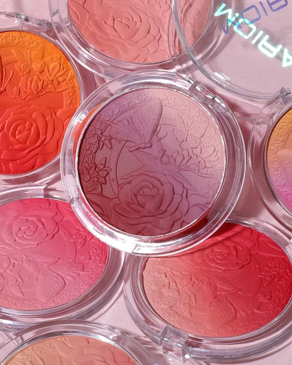 Signature Ombre Blush Bundle