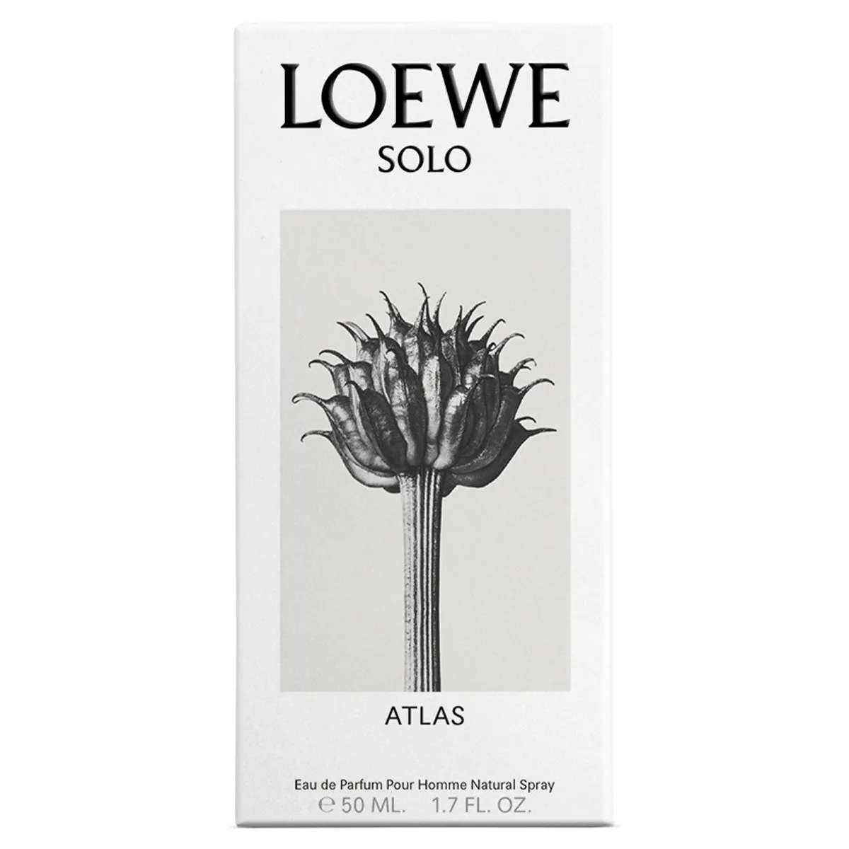 Solo Atlas Eau de Parfum