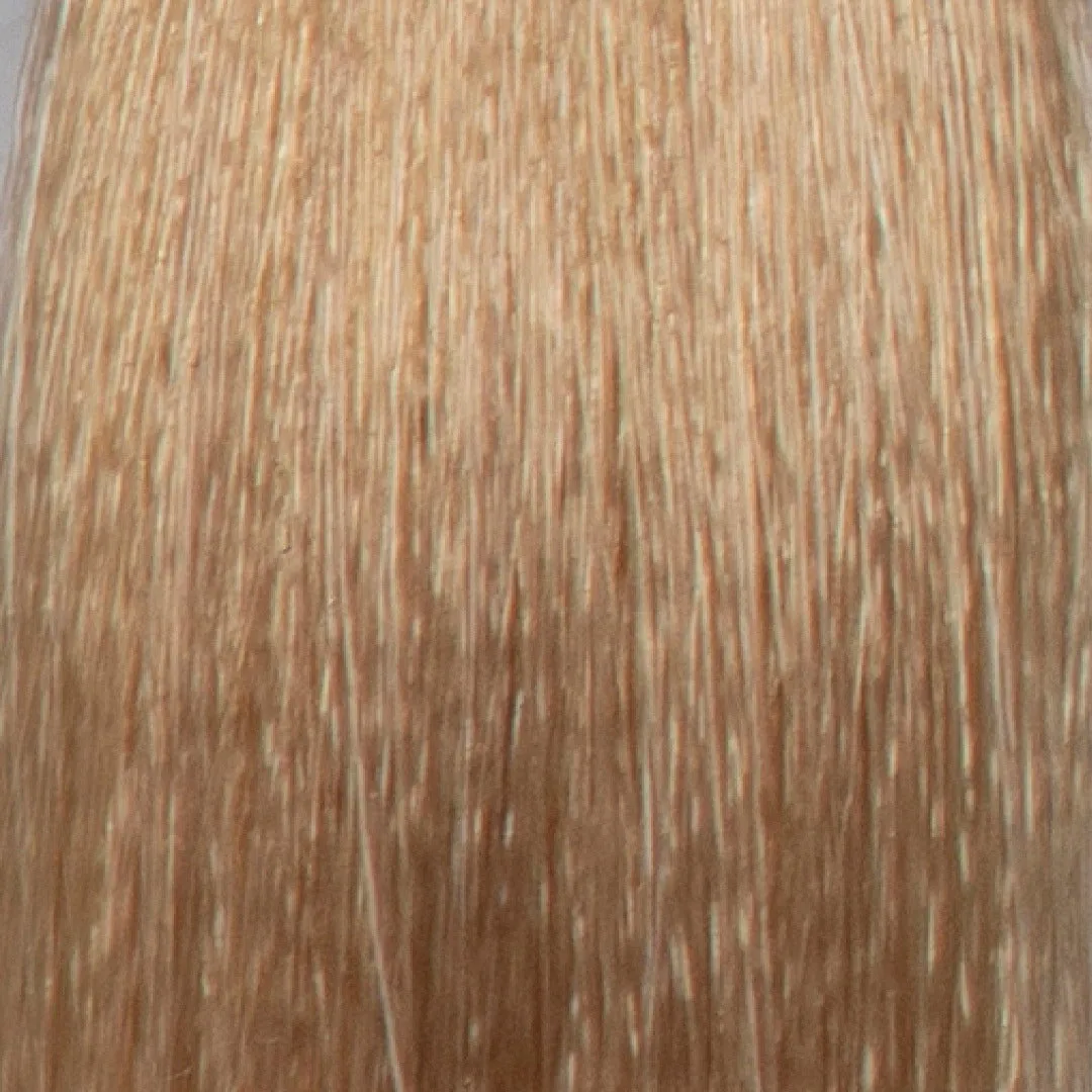 SPS Tint 12.03 Extra Light Golden Blonde 100ml