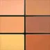 Studio Conceal And Correct Palette