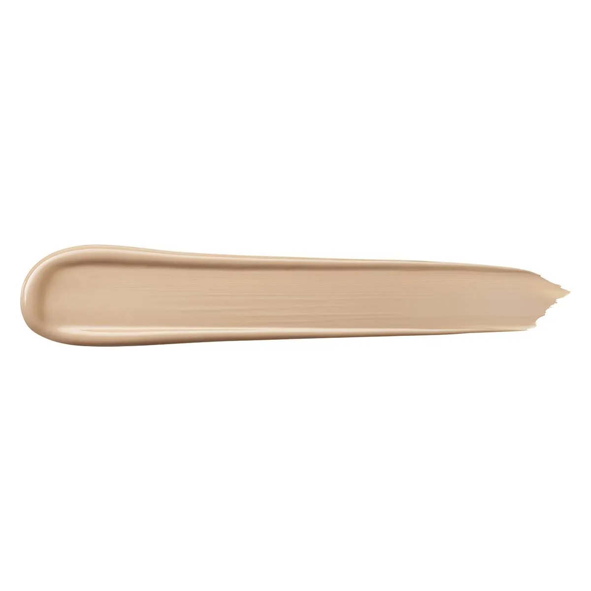 Teint Idole Ultra-Wear All Over Concealer