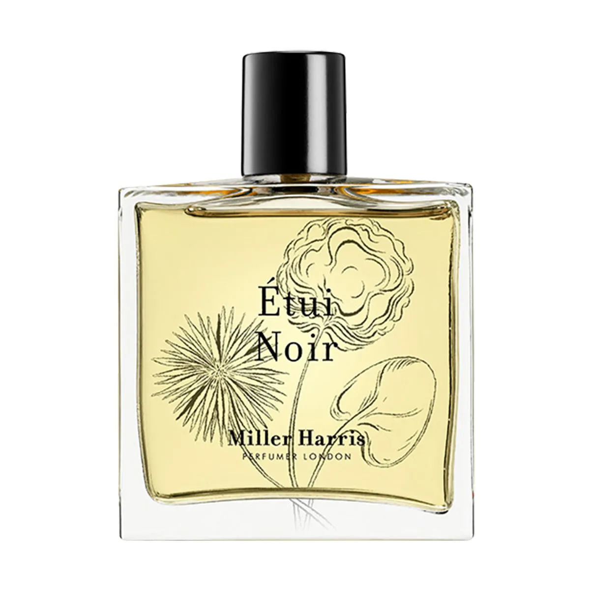 tui Noir