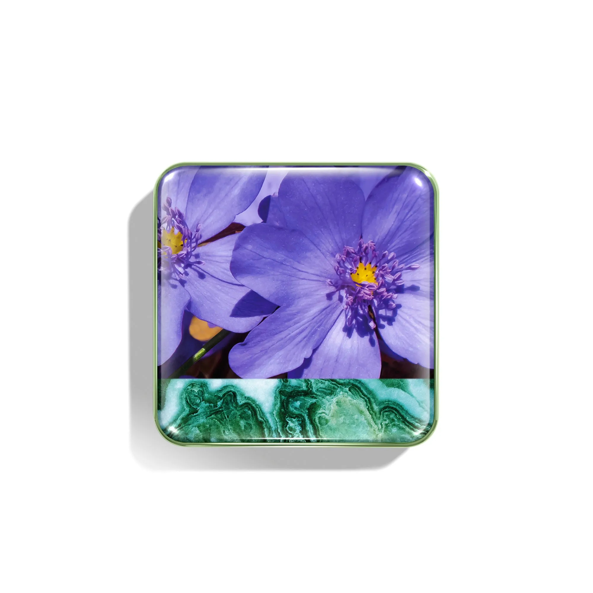 Wild Meadows Blush